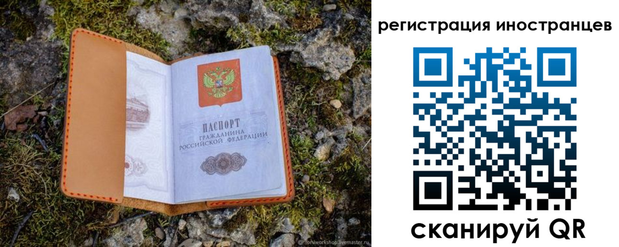 прописка паспорт в Ногинске