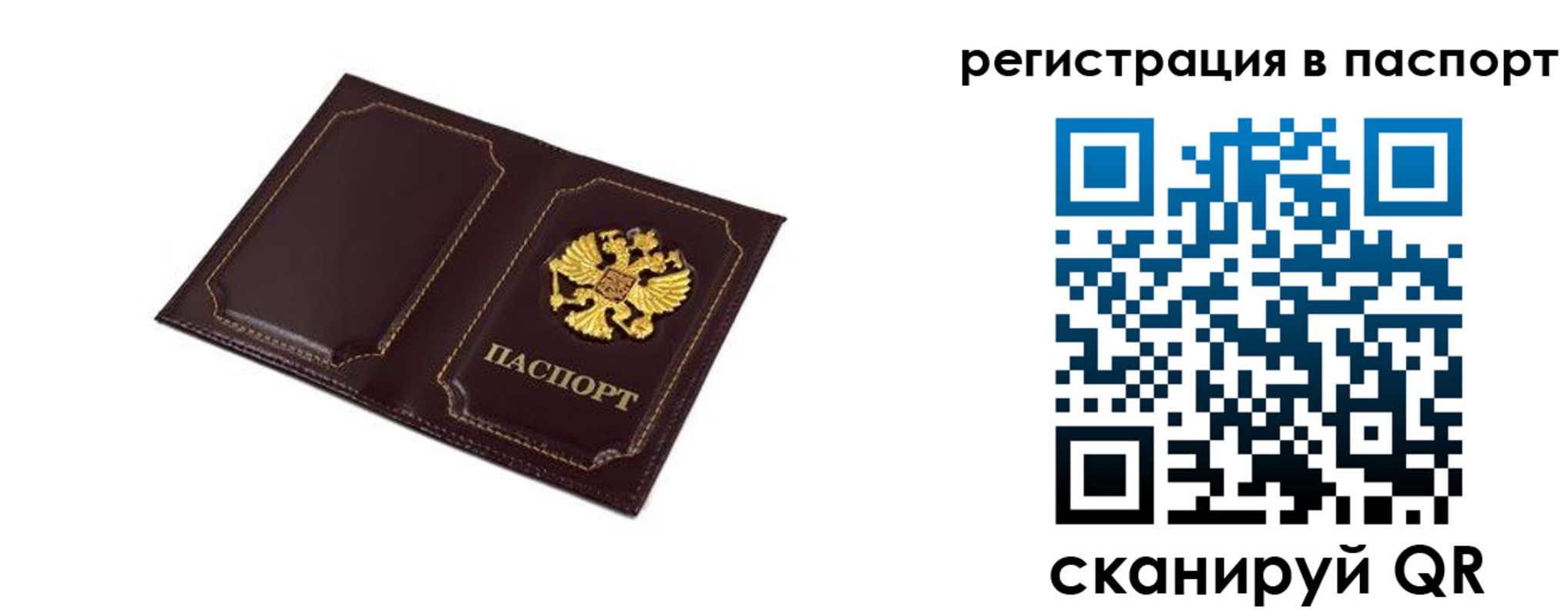 миграционный учет в Ногинске